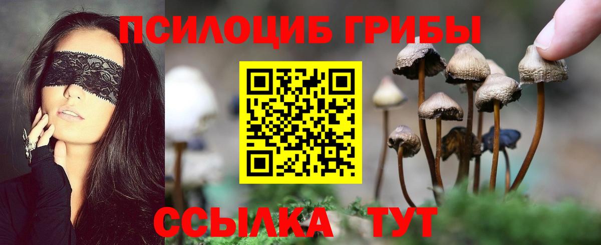 Галлюциногенные грибы прущие грибы Сергиев Посад